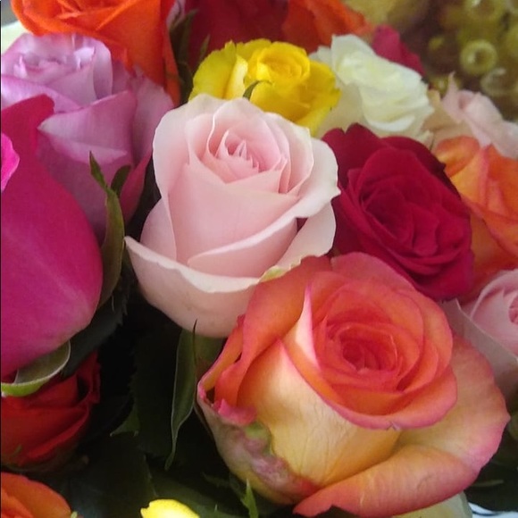 Meet your Posher, Maria - Picture 4 of 4